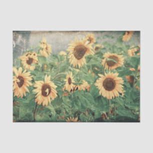 Papier Mousseline Fleurs de soleil géantes Flore de l'art de la déco