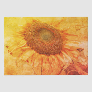 Papier Mousseline Fleurs de soleil géantes Grunge jaune Découpage Vi