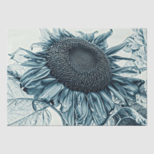 Papier Mousseline Fleurs de soleil géantes Vintage Art Turquoise Déc
