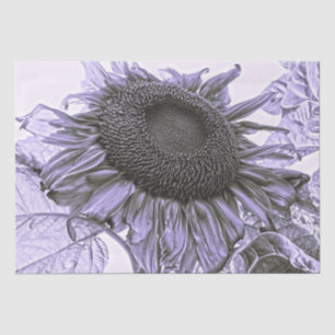 Papier Mousseline Fleurs de soleil géantes Vintage violet Découpage