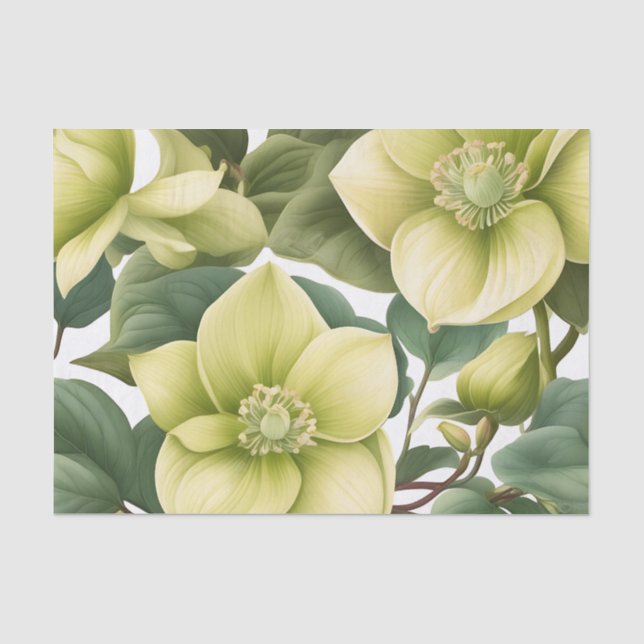 Papier Mousseline Fleurs Hellebore Élégantes (Recto)
