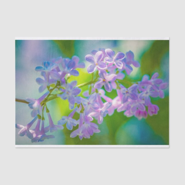 Papier Mousseline Fleurs Lilac Violettes (Recto)