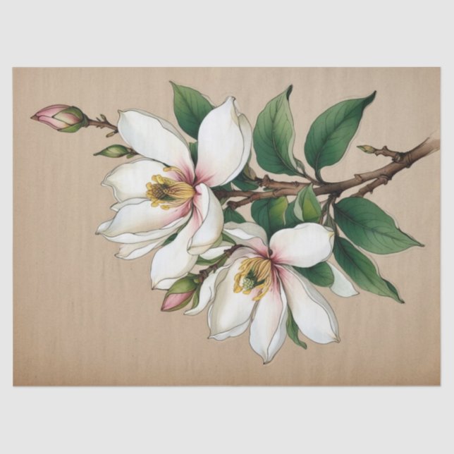 Papier Mousseline Fleurs Magnolia (Recto)