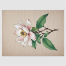 Fleurs Magnolia