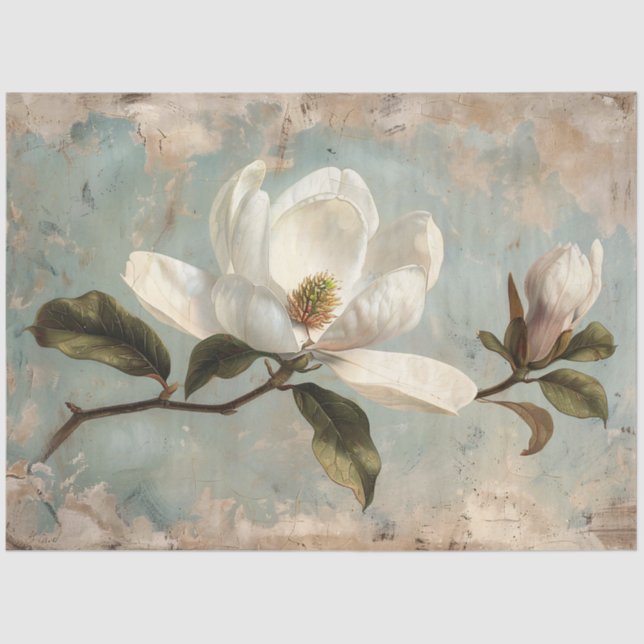 Papier Mousseline Fleurs Magnolia Blanches Découpage Vintage (Recto)