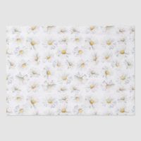 Fleurs marguerites blanches Motif botanique