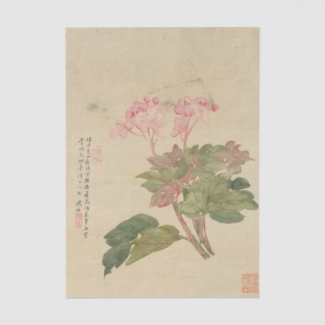 Papier Mousseline Fleurs Pl. 09 par Liang Yuwei (Recto)