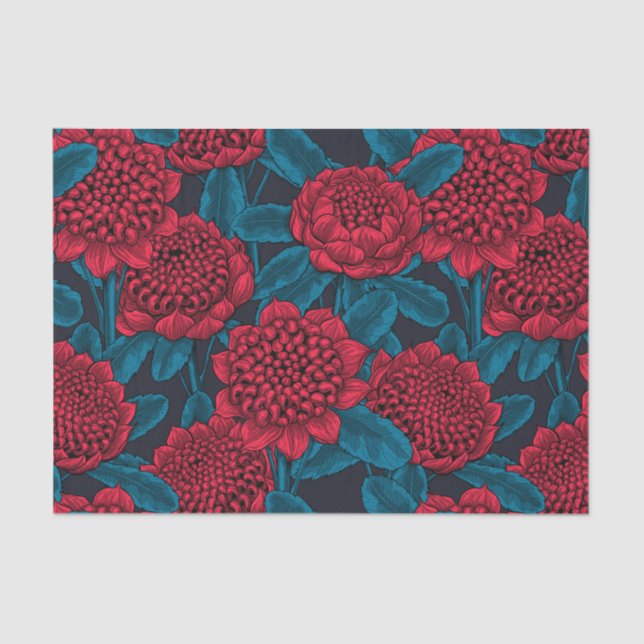 Papier Mousseline Fleurs rouges de waratah (Recto)