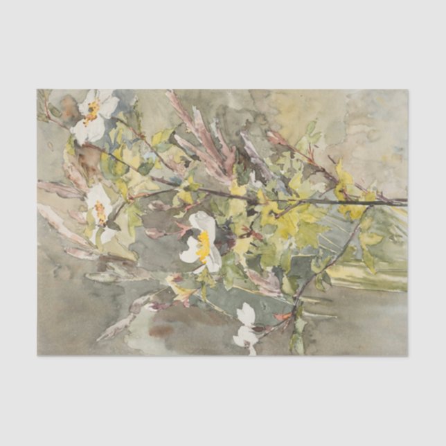 Papier Mousseline Fleurs sauvages par Barbara Bodichon Tissue Paper (Recto)