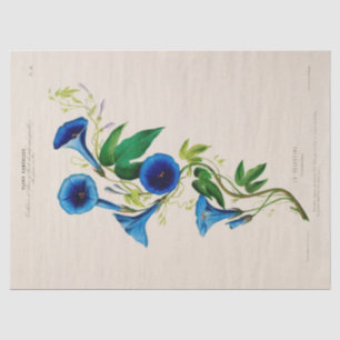 Papier Mousseline Fleurs vintages bleues florales Ephémère Découpage