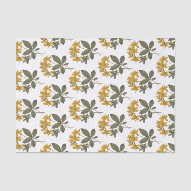 Papier Mousseline Fleurs vintages d'Azalée Jaune (Recto)