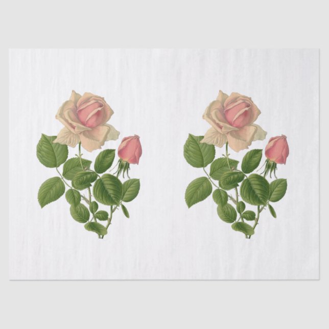 Papier Mousseline Fleurs vintages Roses de thé rose (Recto)