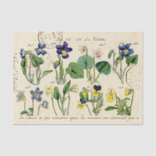 Papier Mousseline Fleurs Viola de script français cachet postal Vint