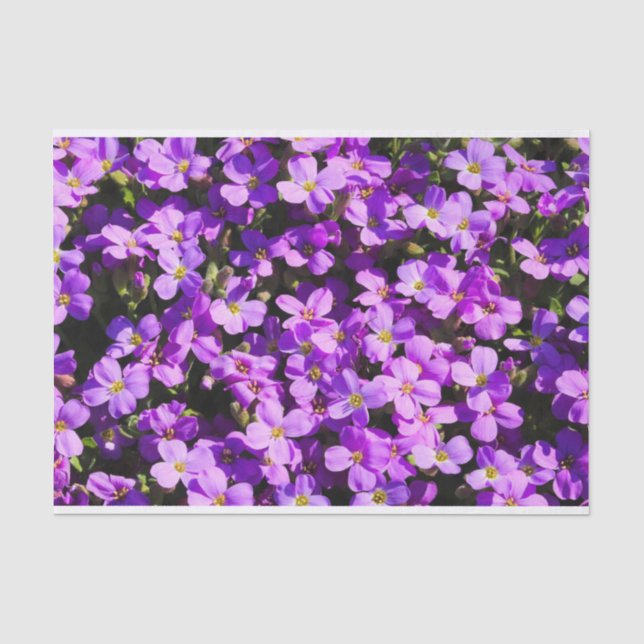 Papier Mousseline Fleurs violettes (Recto)