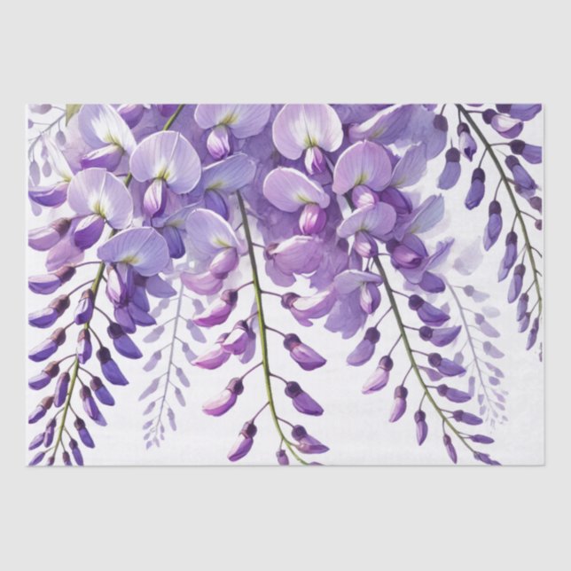 Papier Mousseline Fleurs violettes Wisteria Fleur sauvage Aquarelle (Recto)