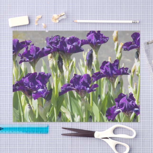 Papier Mousseline Floral d'Irises violettes profondes (Artisanat)