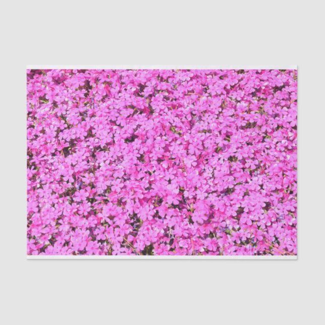 Papier Mousseline Floral rose vibre (Recto)