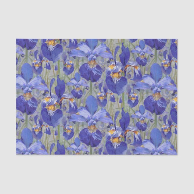 Papier Mousseline Flore bleue d'Iris (Recto)