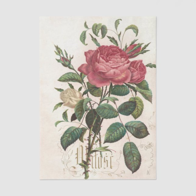 Papier Mousseline Flowers and Poems Pl. 7 by Maksymilian Fajans (Recto)