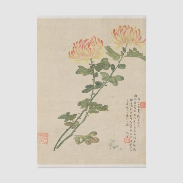 Papier Mousseline Flowers Pl. 10 by Liang Yuwei (Recto)