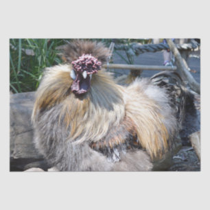 Papier Mousseline Fluffy Charm Imperfection : Un Rooster Silky Uniqu