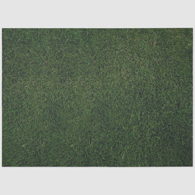 Papier Mousseline Fond d'herbe verte (Recto)