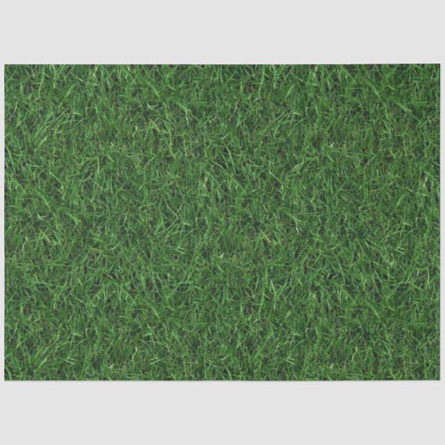 Papier Mousseline Fond d'herbe verte (Recto)