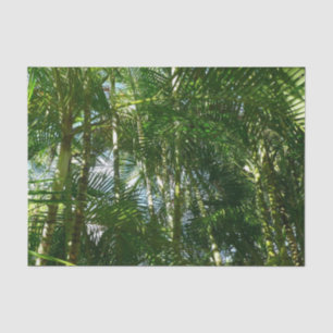 Papier Mousseline Forest of Palm Trees Tropical Nature