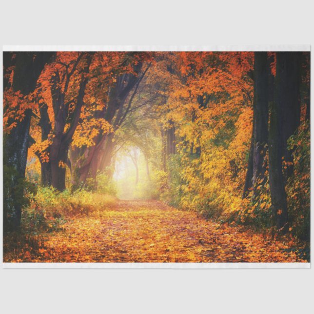 Papier Mousseline Forêt Automne 12 Découpage Papier papier (Recto)