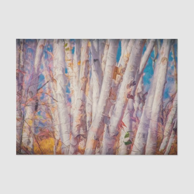 Papier Mousseline Forêt d'automne bouleaux blancs (Recto)