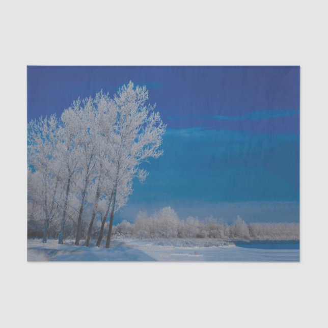 Papier Mousseline Forêt d'hiver Snow Blue Sky Nature (Recto)
