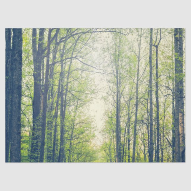 Papier Mousseline Forêt mystique (Recto)