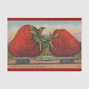 Papier Mousseline Fraises Giant Fruit Antique Fruit Amusant