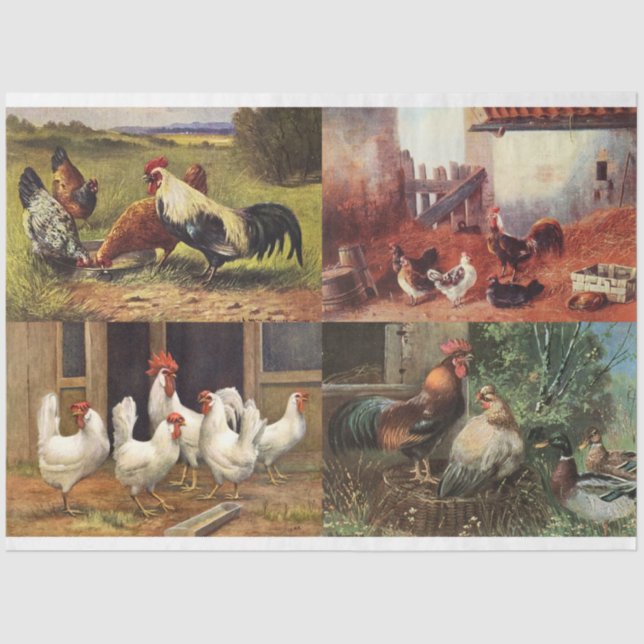 Papier Mousseline Français Pays Agricole Coq Quad 1 Découpage (Recto)