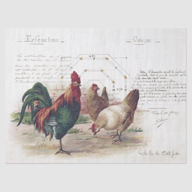Papier Mousseline Français Script Hen Chicken Farmhouse Decoupage (Recto)