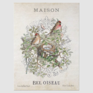 Papier Mousseline French Vintage Bird Nid Maison Cadre Découpage