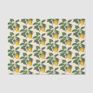 Papier Mousseline Fruit vintage citron Fleur de Fleur de Fleur Beige