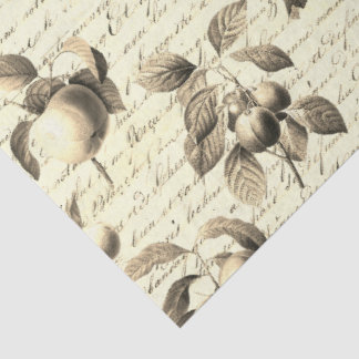 Papier Mousseline Fruits botaniques vintage beige avec écriture