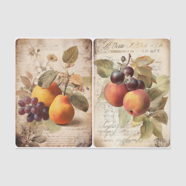 Papier Mousseline Fruits d'automne (Recto)