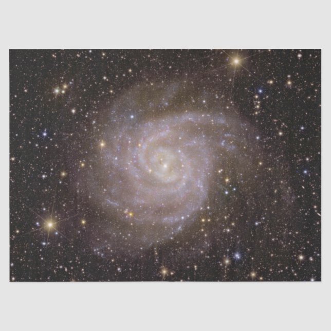 Papier Mousseline Galaxie spirale IC 342 (Recto)