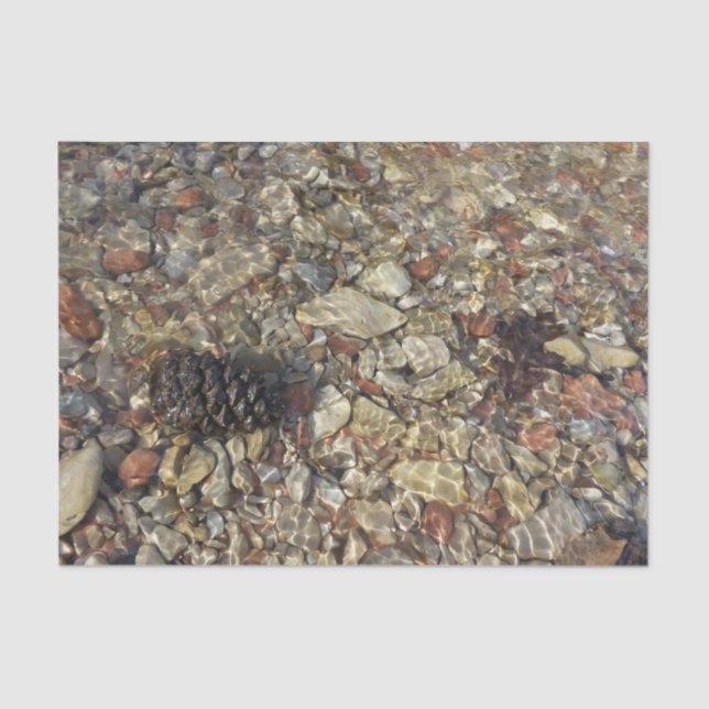 Papier Mousseline Galets dans Taylor Creek Nature Photography (Recto)