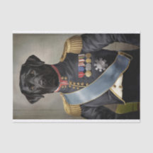 Général Murphy, Black Lab en uniforme militaire