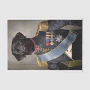 Papier Mousseline Général Murphy, Labrado noir en uniforme militaire
