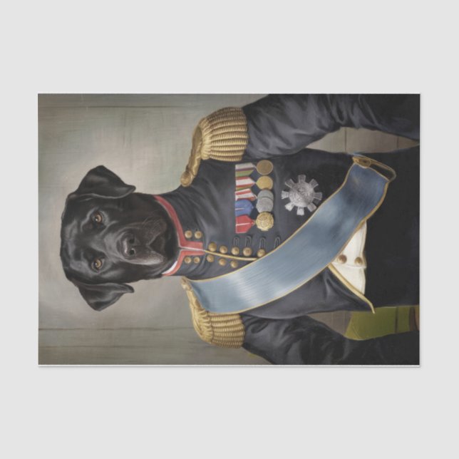 Papier Mousseline Général Murphy, Labrado noir en uniforme militaire (Recto)