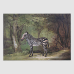 Papier Mousseline George Stubbs   Zebra (1763)