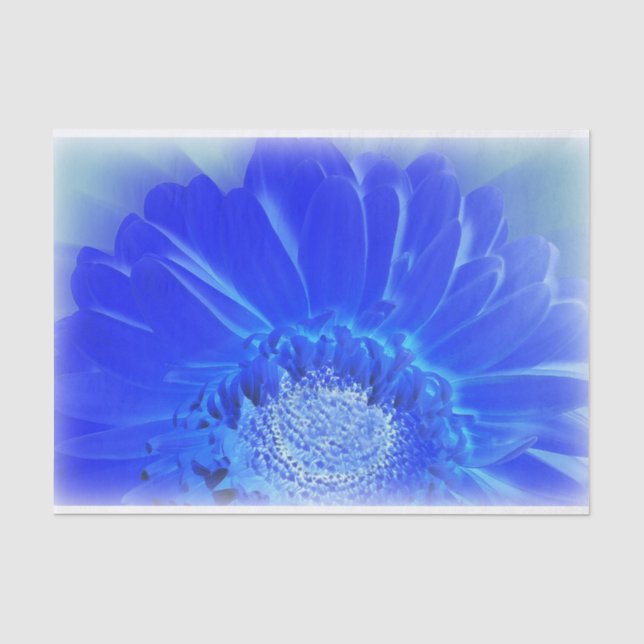 Papier Mousseline gerbera bleu électrique (Recto)