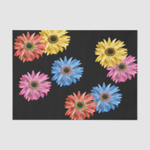 Papier Mousseline Gerbera Daisy Coloré Simple Joli Gerber