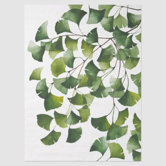 Papier Mousseline Ginkgo Biloba vert -  (Recto)
