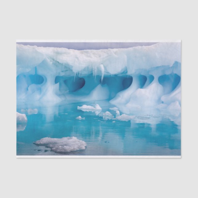 Papier Mousseline Glace en Antarctique (Recto)