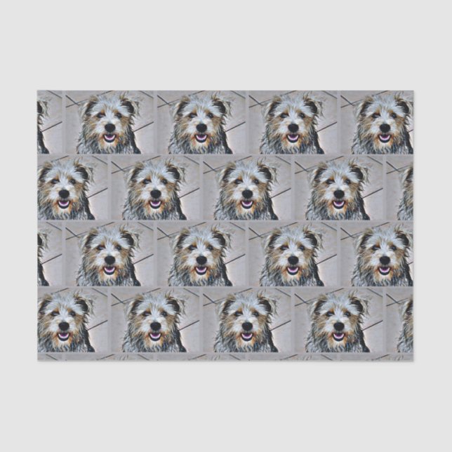 Papier Mousseline Glen of Imaal Terrier (Recto)